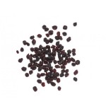 Касис - сушен /френско грозде/ 'Struma Fruit', 100 г